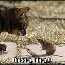 ���� ������� (���������), ������, 24 ���� - ��������� 7 ������ 2010 � ������ �������