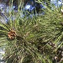 ����� ����� �� ������� ���� ����������