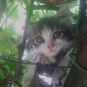 ���� ����, ������, 56 ��� - ��������� 10 ������� 2012 � ������ �������