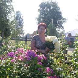 , 65, 