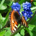 ���� ��������, �����-���������, 54 ���� - ��������� 16 ���� 2012 � ������ �����������