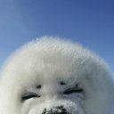  ** @, , 49  -  30  2012    