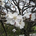 ���� ���� ����, ����������, 50 ��� - ��������� 19 ����� 2010 � ������ ��������� ������!�