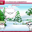  , , 31  -  12  2011   PetLove