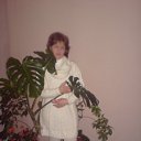 ���� ����, ����, 60 ��� - ��������� 7 ������� 2012 � ������ ���� ����������