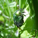 ���� ��������, ������ - ��������� 11 �������� 2011 � ������ �������� ����˨���