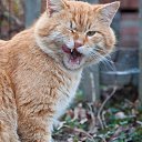 ���� Tania, ������, 21 ��� - ��������� 2 ���� 2011