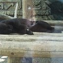  , , 41  -  2  2013   ~  ~