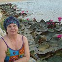 ������ �� ������� ��������, ������� 2012�