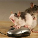 ���� Anton, ���������, 36 ��� - ��������� 14 ���� 2012