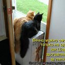 ���� �������, ������, 71 ��� - ��������� 2 ������ 2011 � ������ ���� �������� �����������