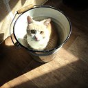 ���� �������, ������� ����, 53 ���� - ��������� 5 ������� 2012 � ������ ���� ����