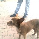 ���� ���������, ����, 42 ���� - ��������� 7 ������� 2011 � ������ ������������� ���� � ��������