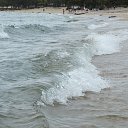  , , 42  -  1  2012    2012