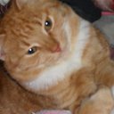 ���� ����, �����-��������� - ��������� 27 ������� 2010