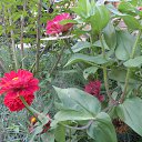 ������ �� ����! �� ������� ����������� �����