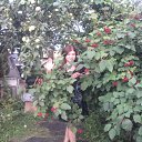 ���� ���������, �����������, 43 ���� - ��������� 14 ������� 2011 � ������ ���� ����������