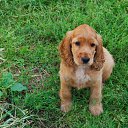 ���� ������� ������, ������, 80 ��� - ��������� 14 ������� 2012 � ������ �������