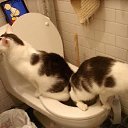 ���� I Rishka I Graiu, ���� - ��������� 17 ������ 2009 � ������ �@~$~@~$~@�