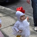 ���� �������, ������ - ��������� 2 ���� 2013 � ������ ���� �������