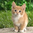 ���� Lana, ������, 37 ��� - ��������� 19 ������ 2010