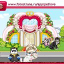  , , 37  -  16  2011   PetLove