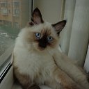   ( ),  -  22  2012     Ҹ!!!