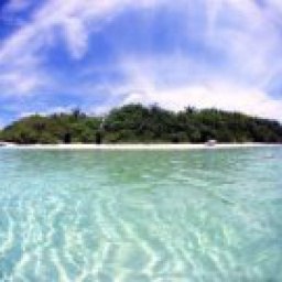 �������� �������, �����������, 62 ����