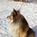 ���� ����, ������, 58 ��� - ��������� 17 ������� 2012 � ������ ���� ����������