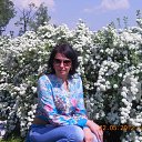 ���� ���������, ������, 47 ��� - ��������� 28 ��� 2012 � ������ ���� ����������