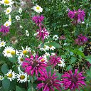 ���� ������, ������, 63 ���� - ��������� 22 ������� 2013 � ������ ������-���� �����....�