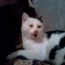 ���� ������, �������, 45 ��� - ��������� 22 ������� 2011