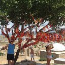 ���� �������, �����-���������, 52 ���� - ��������� 6 ������� 2012 � ������ ���� ����������