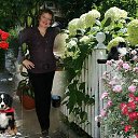 ���� ����, �����, 68 ��� - ��������� 22 ������ 2012 � ������ ���� ����������