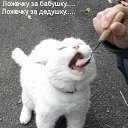 ���� ������, �������, 40 ��� - ��������� 13 ������� 2009 � ������ ����������� ��������, ������� ����������