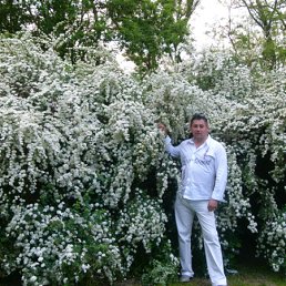 ���� �����, �����������, 43 ���� - ��������� 25 ������ 2012