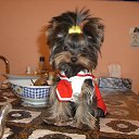 ���� �������, ����, 27 ��� - ��������� 24 �������� 2011