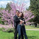  ,  , 46  -  31  2013    