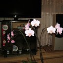 ���� V�������, ��������� - ��������� 6 ������� 2012 � ������ ���������.�