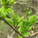 ���� ��������, �����-���������, 54 ���� - ��������� 16 ���� 2012 � ������ �����������