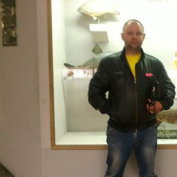 ������, �������, 45 ���