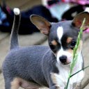  Lika,  -  3  2010      :)