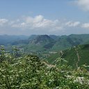  , , 41  -  23  2010   ~   ~