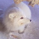 � ��� ������ � ��� �����..