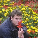 ���� ����, ������, 34 ���� - ��������� 10 �������� 2012