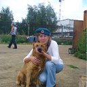  lya, , 54  -  1  2011    