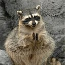 ���� �����-��, ����, 45 ��� - ��������� 20 ������ 2010 � ������ ���� ����� ��, ����� !�