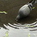 ���� �������, ������, 24 ���� - ��������� 28 ��� 2010 � ������ �������