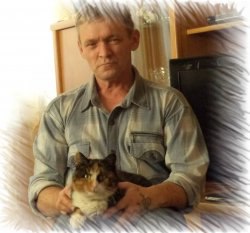 �������, �������, 66 ���