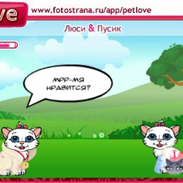 ���� �����, ������, 39 ��� - ��������� 12 ������� 2010